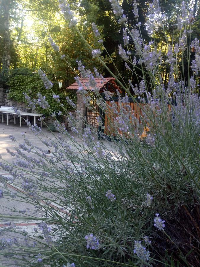 Al Castagno Bed and Breakfast Vico Equense Buitenkant foto
