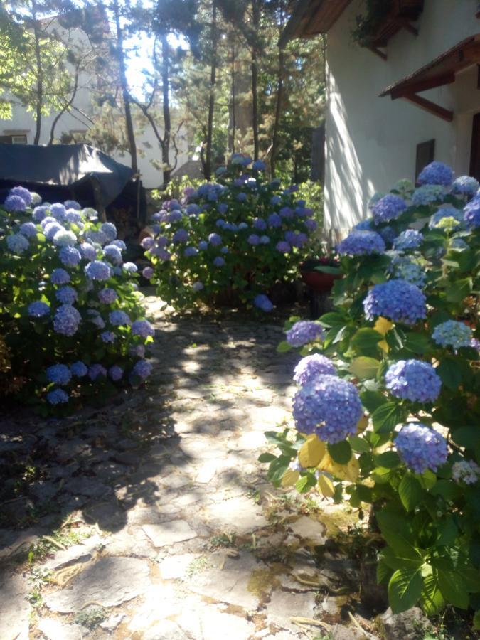 Al Castagno Bed and Breakfast Vico Equense Buitenkant foto